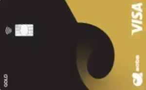 Visa Gold bank card