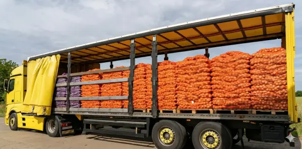 Armenia to Import Up to 5,000 Tons of Onions Duty-Free Following EEC Decision