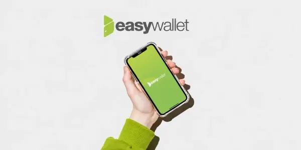easywallet 2026: a review of the wallet for money management and fast payments